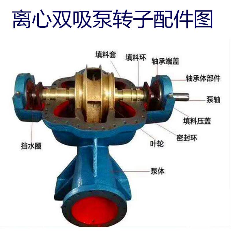 双吸泵结构.jpg 双吸泵结构.jpg